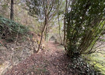 Agricultural land Via Acqua benedetta, Sant'Olcese - photo 4