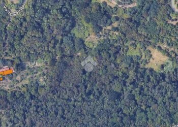 Agricultural land Via Acqua benedetta, Sant'Olcese - photo 5