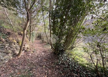 Agricultural land Via Acqua benedetta, Sant'Olcese - photo 6