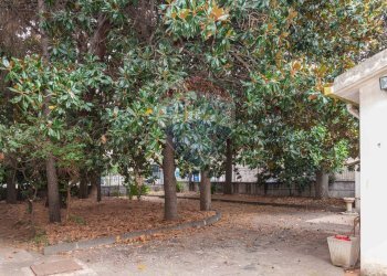 Giardino - Villa VIA REGINA MARGHERITA
 
83, Fiumefreddo di Sicilia - foto 33