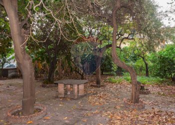 Giardino - Villa VIA REGINA MARGHERITA
 
83, Fiumefreddo di Sicilia - foto 45