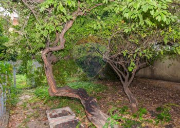 Giardino - Villa VIA REGINA MARGHERITA
 
83, Fiumefreddo di Sicilia - foto 48