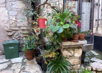 Dettagli - Independent house via San Giuseppe
 
24, Vico del Gargano - photo 49