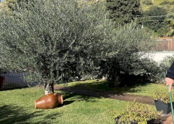 Foto 14 - Villa Via Menelao
 
1, Palermo - foto 14