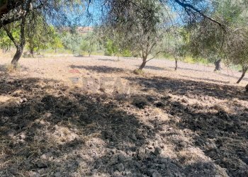 Giardino - Rustico C.da Montesano Piano Pozzi - Vaccaria, Modica - foto 24