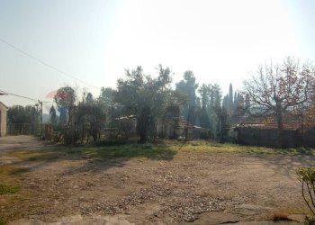 Giardino - Casa semi indipendente Via La Costa
 
16, Arce - foto 37