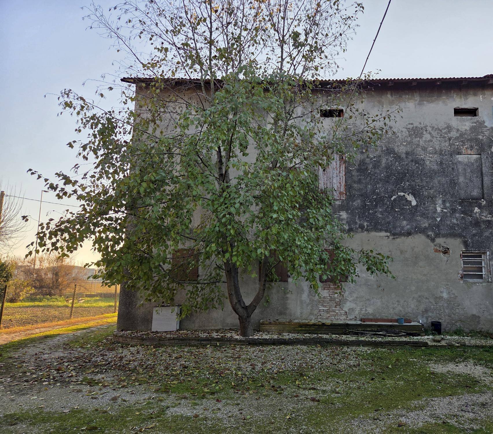 Foto 2 - Casa semi indipendente San Possidonio - foto 2