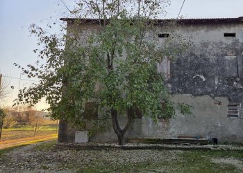 Foto 2 - Casa semi indipendente San Possidonio - foto 2