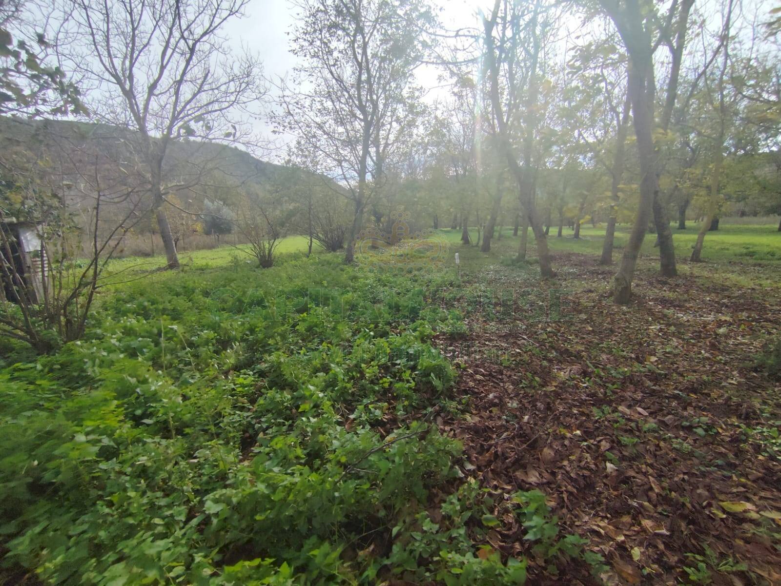 Foto 2 - Terreno agricolo VIA LAVINAIO, Mercato San Severino - foto 2