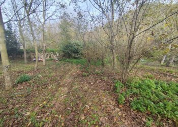 Foto 1 - Terreno agricolo VIA LAVINAIO, Mercato San Severino - foto 1