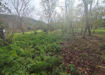 Foto 2 - Terreno agricolo VIA LAVINAIO, Mercato San Severino - foto 2