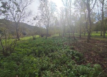 Foto 3 - Terreno agricolo VIA LAVINAIO, Mercato San Severino - foto 3