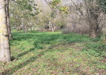 Foto 5 - Terreno agricolo VIA LAVINAIO, Mercato San Severino - foto 5