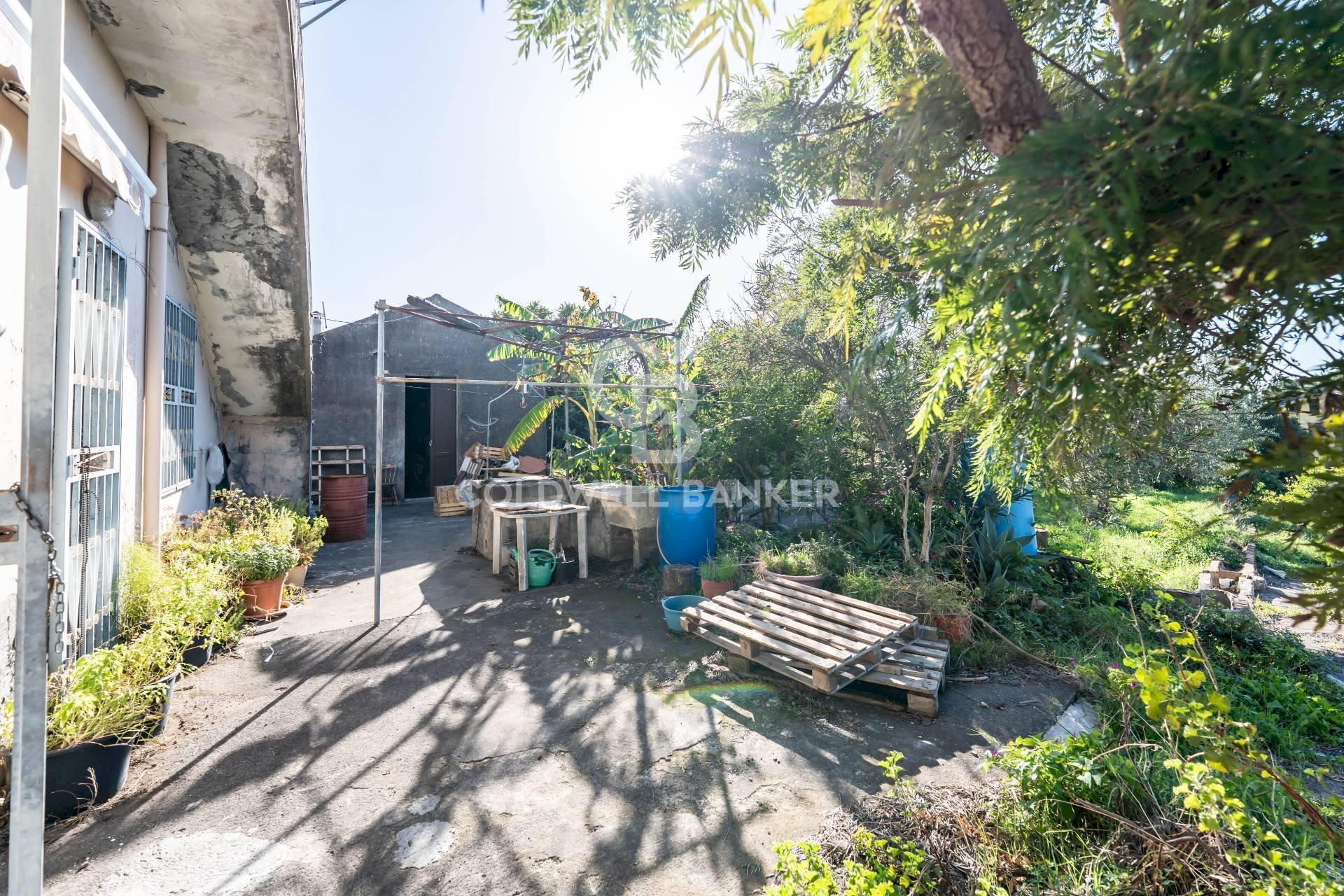 Foto 1 - Casa indipendente Via Apollo
 
7, Acireale - foto 1