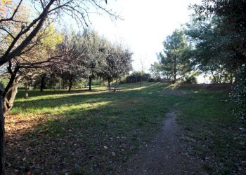Giardino - Trilocale via Emilio Salgari, Genova (zona Pegli) - foto 30