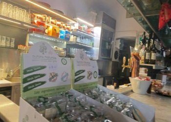 Interno non residenziale - Bar Tavola Calda - Fredda Savona (zona Centro storico) - foto 6