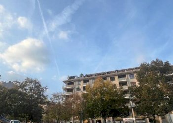 Zona - Cafeteria - Cold Bar Chivasso - photo 1