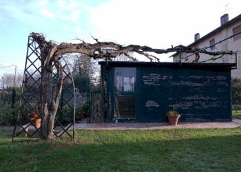 Giardino - Villa via Calatafimi, Ravenna - foto 5