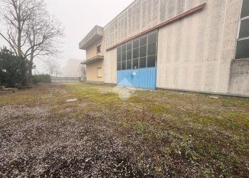 Laboratorio via menghini, Budrio - foto 19
