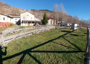 le Farfalle (24).jpg - Trilocale Via Cimoncino 1091, Fanano - foto 24