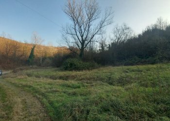 rustici (8).jpg - Rustic Via Claudia 4035, Savignano sul Panaro - photo 10