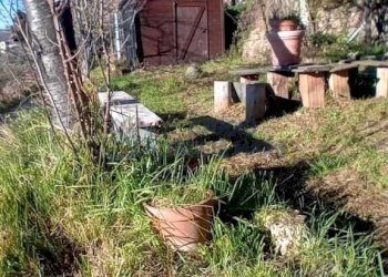 Immagine WhatsApp 2025-12-11 ore 11.13.14_2d918a11 - Porzione di casa Via Asplanato, Molini di Triora - foto 2