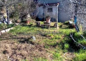 Immagine WhatsApp 2025-12-16 ore 10.27.31_1a51d039 - Porzione di casa Via Asplanato, Molini di Triora - foto 5