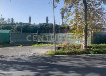 terreno strada alberata.png - Capannone Via Salvo D'Acquisto, San Giovanni la Punta - foto 2