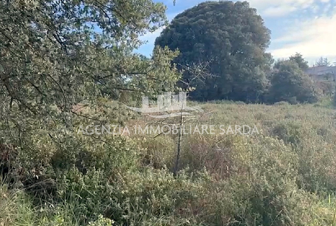 2.jpg - Terreno edificabile Calangianus - foto 2