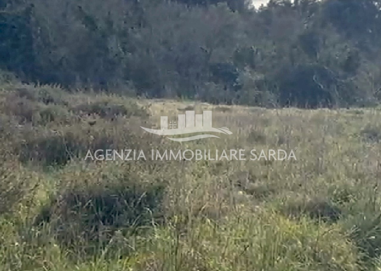 3.jpg - Terreno edificabile Calangianus - foto 3