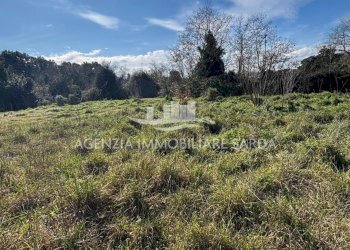 1.jpg - Terreno edificabile Calangianus - foto 1