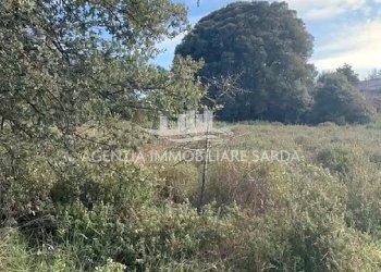 2.jpg - Terreno edificabile Calangianus - foto 2