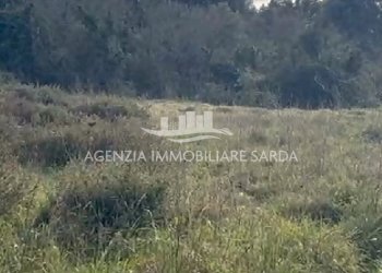 3.jpg - Terreno edificabile Calangianus - foto 3