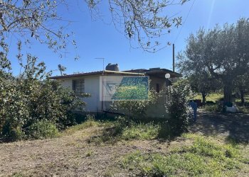 Terreno edificabile Noto - foto 2