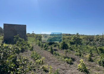 Terreno edificabile Noto - foto 8