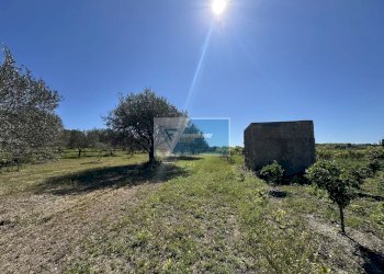 Terreno edificabile Noto - foto 9