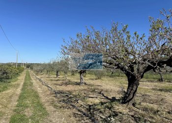 Terreno edificabile Noto - foto 11