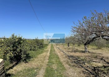 Terreno edificabile Noto - foto 12