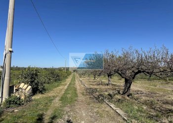 Terreno edificabile Noto - foto 13