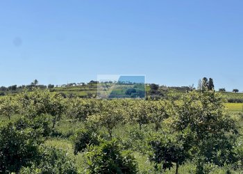 Terreno edificabile Noto - foto 14
