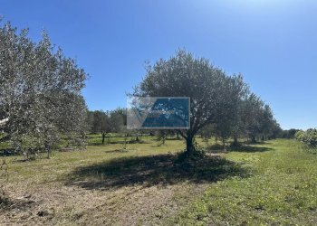Terreno edificabile Noto - foto 15