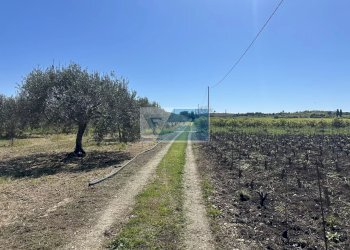 Terreno edificabile Noto - foto 16