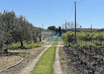 Terreno edificabile Noto - foto 18