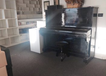 Villa Via della Chiesa, Ciriè - foto 22