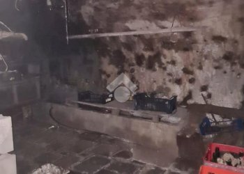 Casa semi indipendente Via Murasse Fontanetta, Mezzenile - foto 6