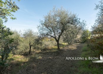 Villa Unifamiliare del Cassero, 30, Sinalunga - foto 38