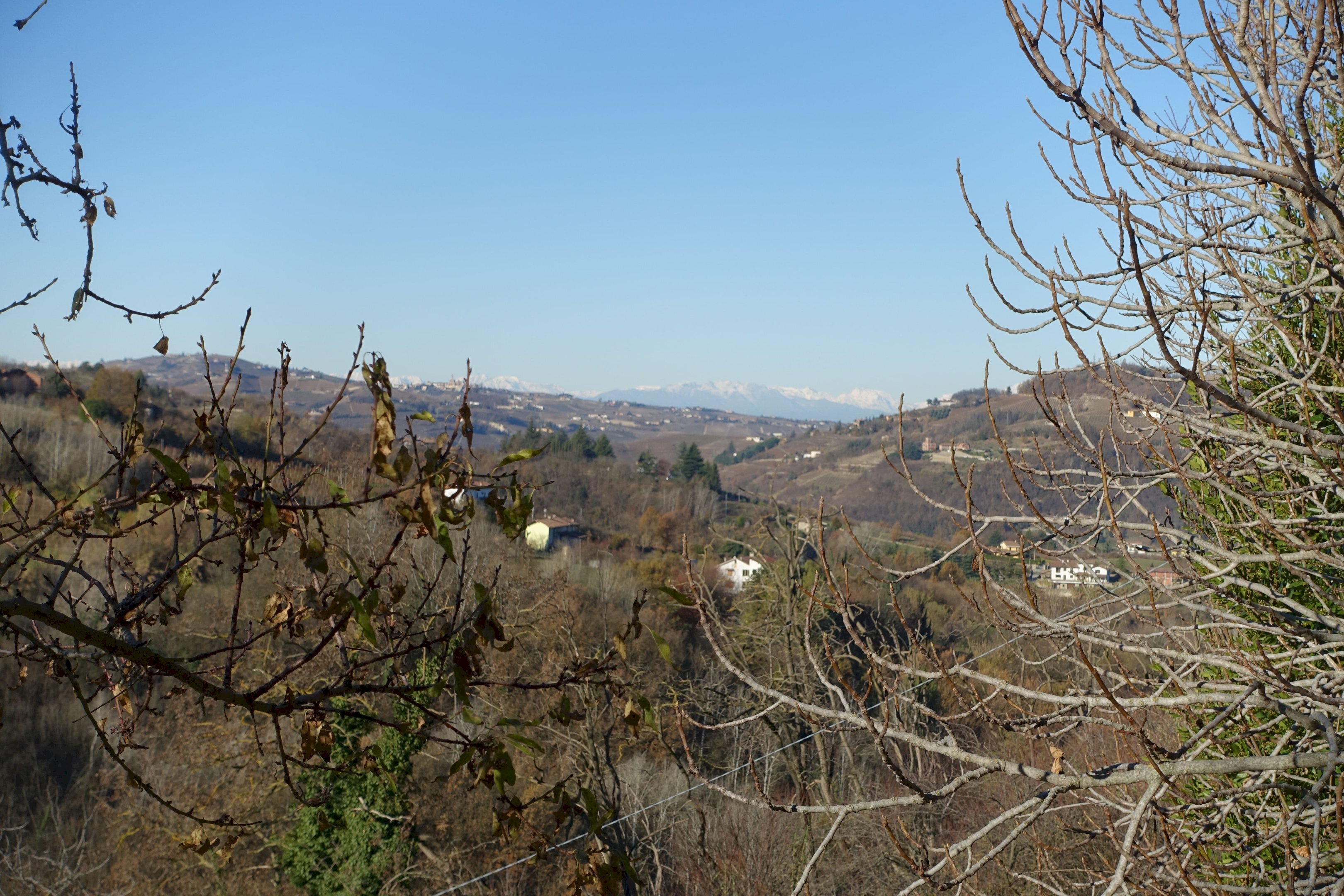 Casa indipendente Regione Boschi, Canelli - foto 2