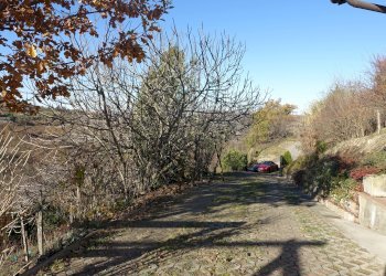Casa indipendente Regione Boschi, Canelli - foto 4