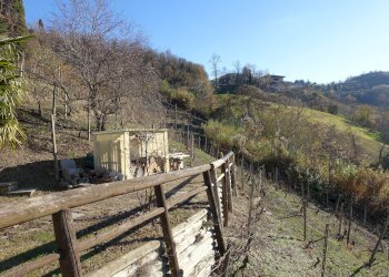 Casa indipendente Regione Boschi, Canelli - foto 7