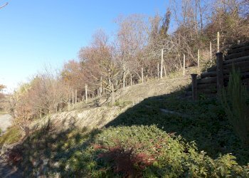 Casa indipendente Regione Boschi, Canelli - foto 18